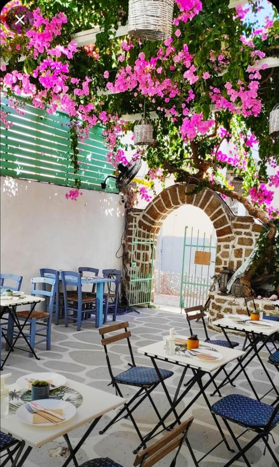 מלון Rhodes City Galanopetra Rhodes Greece מראה חיצוני תמונה